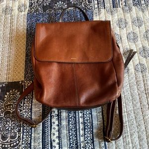 Fossil Backpack